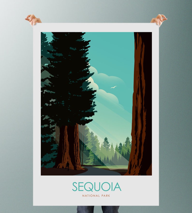 May include: A vintage-style poster featuring a scenic view of Sequoia National Park. The poster depicts towering redwood trees with a sunbeam shining through the forest. The text "SEQUOIA NATIONAL PARK" is displayed at the bottom of the poster.