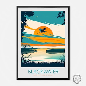 Stampa Blackwater, poster del National Wildlife Refuge del Maryland, regalo di viaggio per gli Stati Uniti, rotta migratoria atlantica, stampa artistica sulla fauna selvatica
