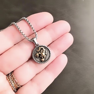 Silver Tone Chain Stainless Steel Two Tone Men’s Zodiac Necklace * Double Faced Zodiac Medallion Necklace