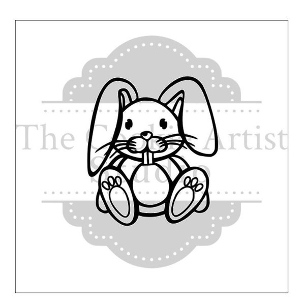 PYO Children’s Bunny silk screen stencil, Birthday Silk Screen, custom silk screen, custom stencil, mesh stencil