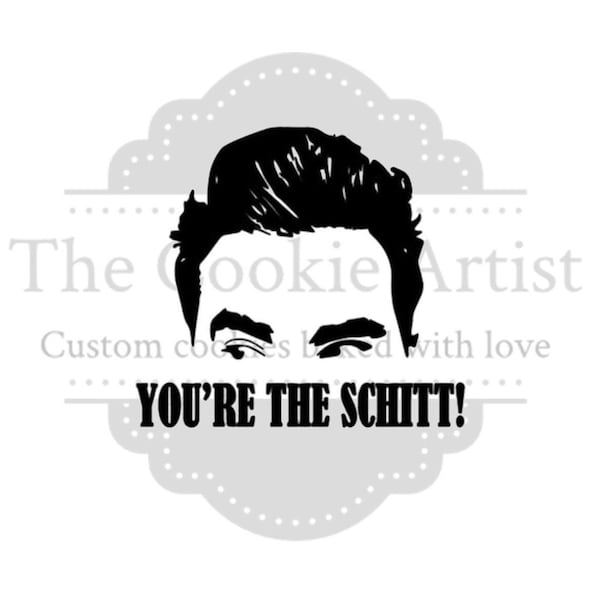 You're the Schitt Silk Screen Stencil,  Custom Silk Screen Stencil, Cookie Stencil, Mesh Stencil
