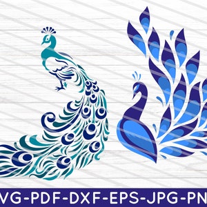 Peacock Svg, Peacock Feather Svg, Bird Svg, Peacock Clipart, Peacock Files For Cricut Peacock Cut Files, Svg, Dxf, Png, Eps, Jpg, Pdf.