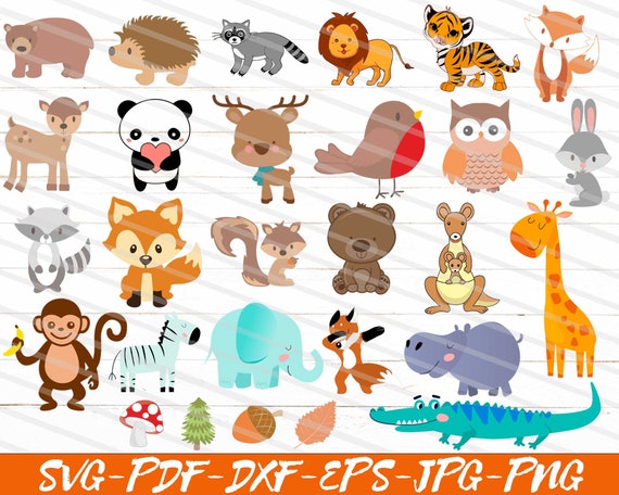 Download Woodland Animals Svg Cute Forest Animals Autumn Animals | Etsy