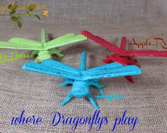 May include: Three cast iron dragonfly sculptures in Key Lime, Aqua, and Apple Red. The dragonfly sculptures have outstretched wings and are displayed on a textured surface. The text "where Dragonfys play" is written in blue.