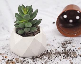 Geodesic Mini Pot, Succulent Planter, Geometric Concrete Planter, Cactus Planter, New Home Gift, Tea light Holder, Succulent Pot, Plant Pot