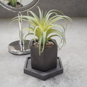 75mm Concrete Pot  & 100mm Tray Set, Succulent Planter, Concrete Planter, Cactus Planter, Home Gift, Jewellery Storage,