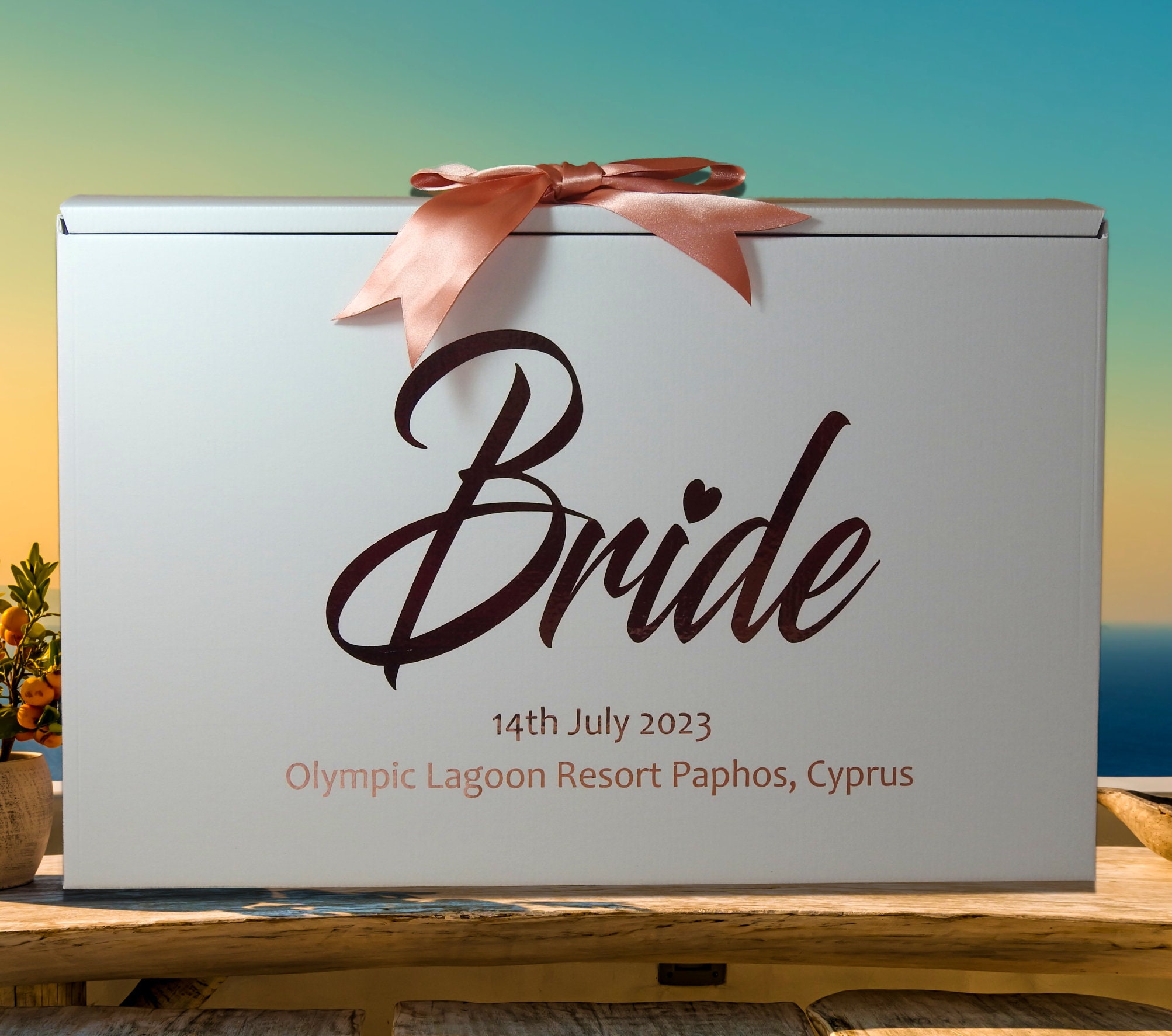 Wedding dress top travel box