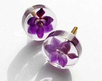 Set of 2 - Real Orchid flowers in furniture knobs, Nightstand pulls, Housewarming gift, Unique and handmade, Clear knobs