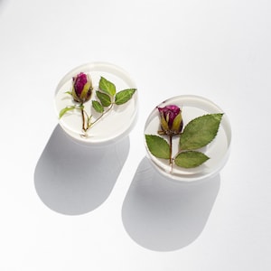 May include: Two clear, round resin coasters, each containing a preserved rose bud and green leaves. The rose buds are a deep magenta color, and the leaves are a vibrant green. The coasters are set against a white background.