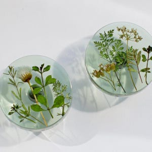 Peut inclure: Deux dessous de verre circulaires en résine transparente contenant des feuillages verts séchés et des fleurs sauvages blanches. Chaque dessous de verre présente une surface lisse et transparente révélant les textures naturelles des végétaux.