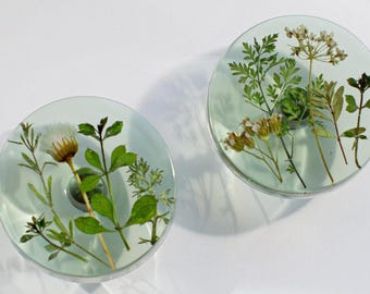Plantas verdes naturales de verano en pomos de muebles hechos a mano.