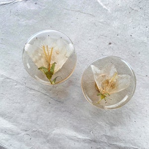 May include: Two clear round resin coasters with pressed white flowers inside. The flowers have a yellow centre and green stems.