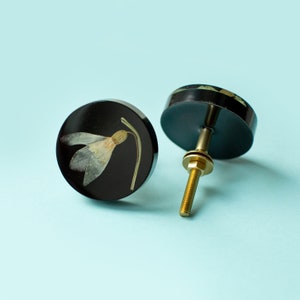 Echte Schneeglöckchen Frühlingsblumen in schwarzem Möbelknopf - Galanthus nivalis