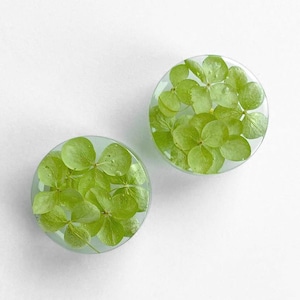 Light green Hydrangea cabinet knobs with real flowers