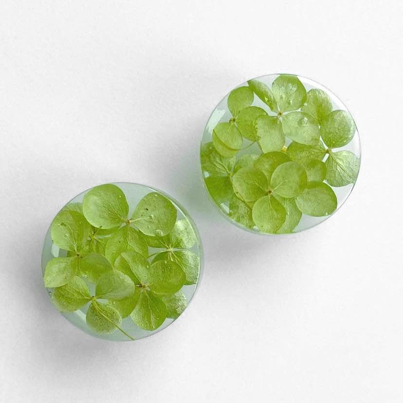Light green Hydrangea cabinet knobs with real flowers