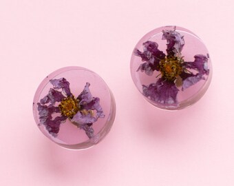 Set of 2 - Real Cosmos flowers in unique purple colored cabinet knobs, Gift idea, Nightstands