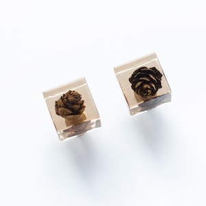 May include: A pair of clear resin earrings with a dried flower encased inside each one. The flowers are brown and have a delicate, intricate design.