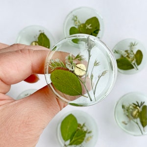 Green furniture knobs with real plants and flowers image 2