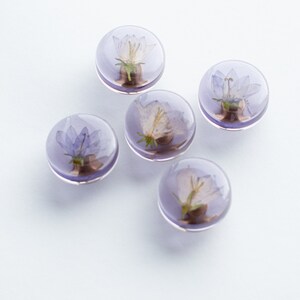 Set of 5 Purple see-through colored furniture knobs with real Bluebell flowers, minimalistic modern, clear pulls image 2
