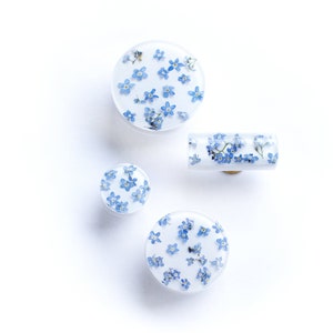 Real Forget-me-not flower blossoms in white cabinet knobs