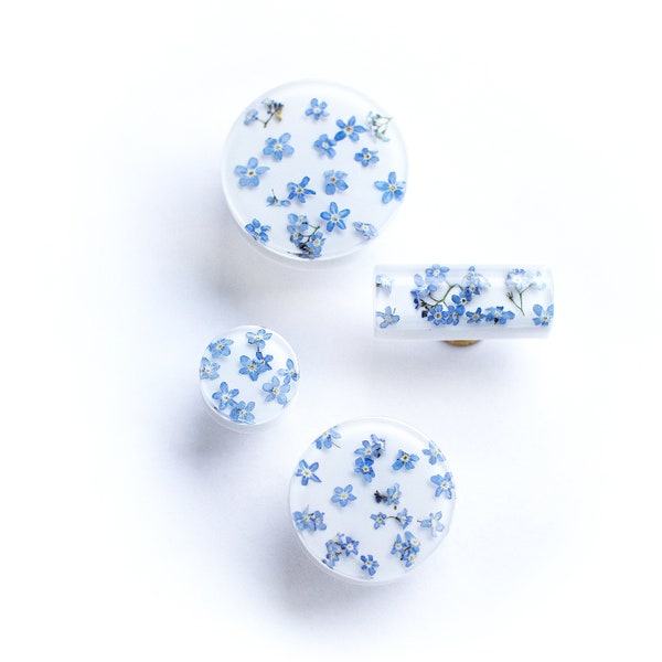 Real Forget-me-not flower blossoms in white cabinet knobs