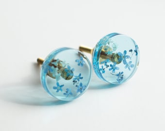 Blue Forget-me-not flowers in bright blue clear furniture knob