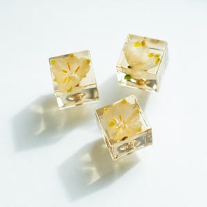 Può includere: Tre pomelli quadrati in resina trasparente con un piccolo fiore bianco pressato all'interno di ciascuno. I fiori hanno centri gialli.