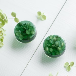 以下が含まれることがあります： 緑色の樹脂製の丸いイヤリング2つ。中に緑の葉が押し込まれている。