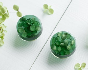 Boutons de meuble hortensia vert foncé avec vraies fleurs