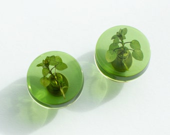 Set of 2 - Fun green colored knobs with real green plants, gift idea, nightstand
