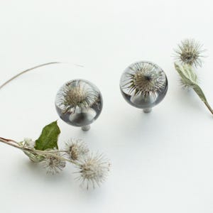 Peut inclure: Deux boutons de meuble sphériques transparents avec des fleurs de chardon séchées à l'intérieur. Les boutons ont une base argentée et sont présentés avec des brins de chardon séché et une feuille verte sur fond blanc.