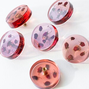 May include: Six clear, round cabinet knobs with embedded dried flowers. The knobs have a reddish-pink hue with brass hardware. The flowers are a mix of red and purple, creating a unique decorative element. The knobs are arranged on a white surface.