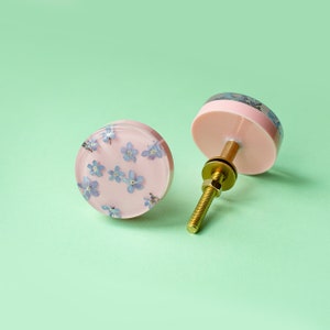 Real dried Forget-me-not blue flowers in pink furniture knob