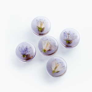 Set of 5 Purple see-through colored furniture knobs with real Bluebell flowers, minimalistic modern, clear pulls image 1