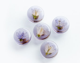 Set of 5 - Purple see-through colored furniture knobs with real Bluebell flowers, minimalistic modern, clear pulls