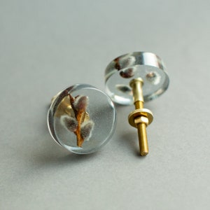 Może przedstawiać: Dwa przezroczyste gałki do szafek z żywicy o botanicznym wzorze. Każda gałka zawiera gałązkę suszonej wierzby, zamkniętą w przezroczystej żywicy. Gałki mają mosiężny osprzęt.