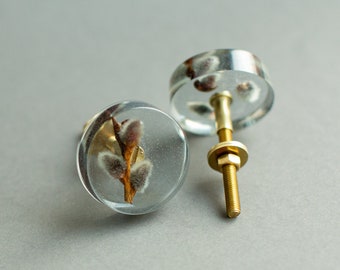 Real dried Pussy willow in a see-through grey furniture knob