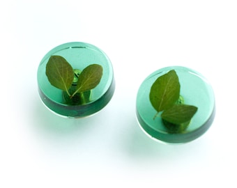 Set of 2 - Dark green colored knobs with real green leafs, gift idea, nightstand