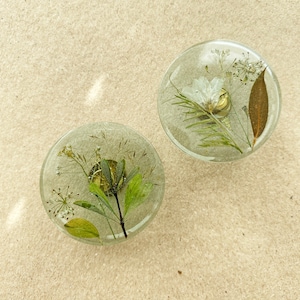 Green furniture knobs with real plants and flowers