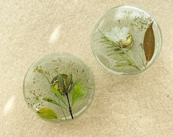 Boutons de meubles verts avec de vraies plantes et fleurs