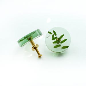 Op de afbeelding: Twee ronde groene kastknoppen met een messing schroef. Eén knop heeft een geperst groen bladontwerp.