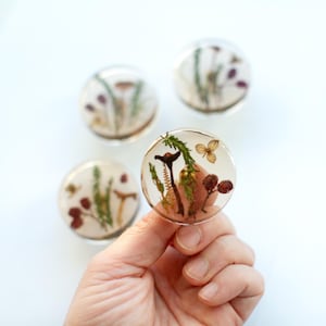 Op de afbeelding: Vier ronde onderzetters van hars met geperste botanische elementen, waaronder paddenstoelen, bladeren en bessen. De onderzetters zijn transparant en tonen de natuurlijke elementen in detail.