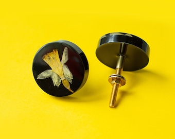 Narcissus / Daffodil dried real flower black furniture knob