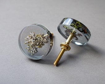 Grey see-through elegant sculptural furniture knob with real dried tree bark moss