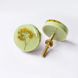 May include: Two green round cabinet knobs with a brass screw. One knob features a pressed yellow flower inside the resin.