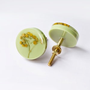 Real yellow Tansy flower-plant on light green background vintage furniture knob