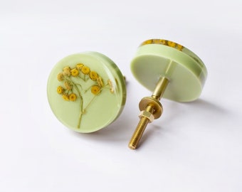 Real yellow Tansy flower-plant on light green background vintage furniture knob