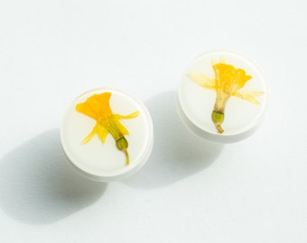 Yellow Narcissus / Daffodil flowers in white cabinet knobs, Nighstand pulls, real flowers, Gift idea, Unique modern knobs