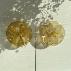 以下が含まれることがあります： 白い花が押し花された、透明な樹脂製の丸いコースターが2つ。花はコースターの中心に配置され、黄色い中心部があります。