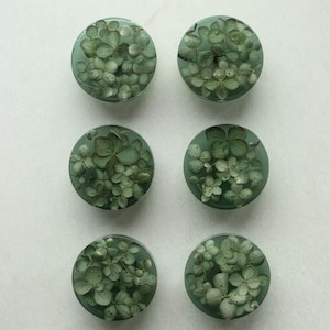 Set of 6 - Handmade dark green knobs with real Hydrangea flowers